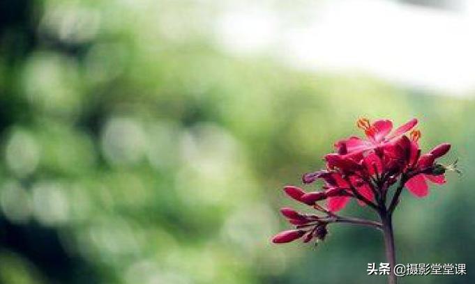 摄影如何调光圈快门,摄影教学光圈怎么调