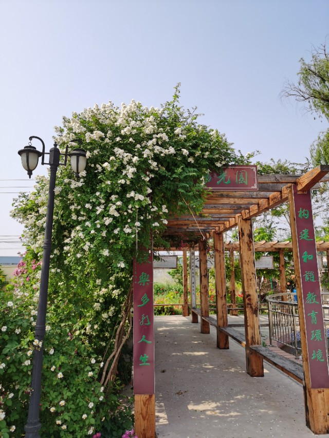 阳光学校为什么有规矩,阳光学校特色课