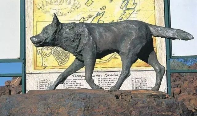 婢虫床缁忓吀鍠滃墽鐢靛奖澶у叏,婢虫床绾㈢姮鐢靛奖