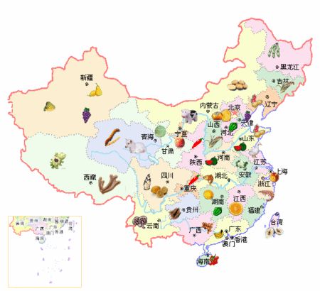 一分钟看懂水果视频,1分钟了解苹果水果