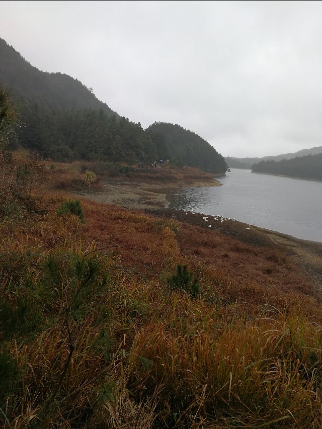 德化载入史册,德化是什么时候被评为世界瓷都的