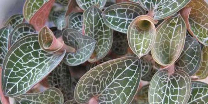 鞍山哪些地方能捡到宝贝,鞍山漂亮宝贝