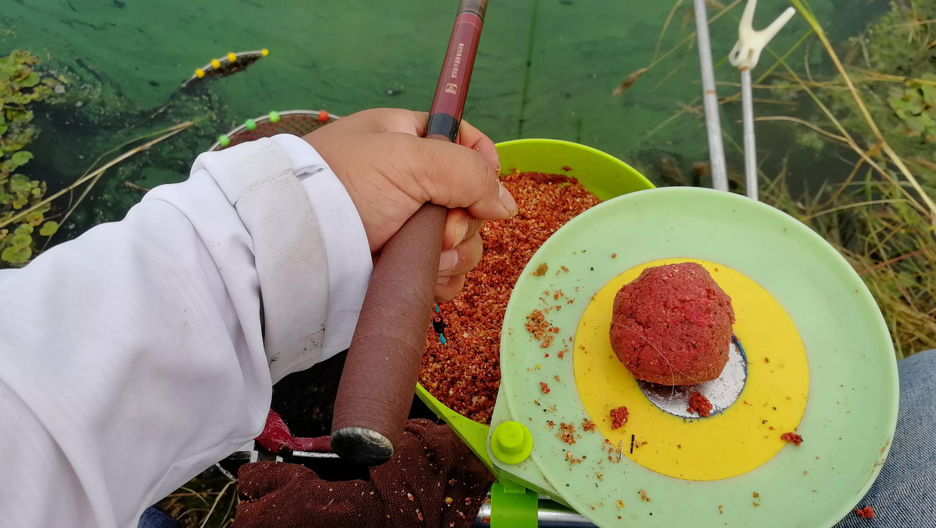 新手如何选择鱼竿,新手如何选鱼竿的调性