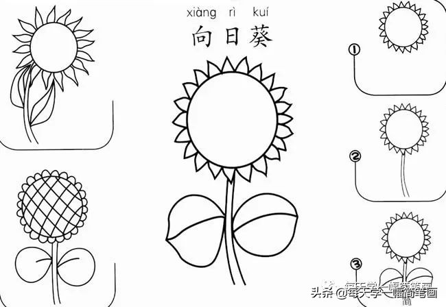 每天一幅简笔画的小教程,简笔画花朵的画法茉莉花