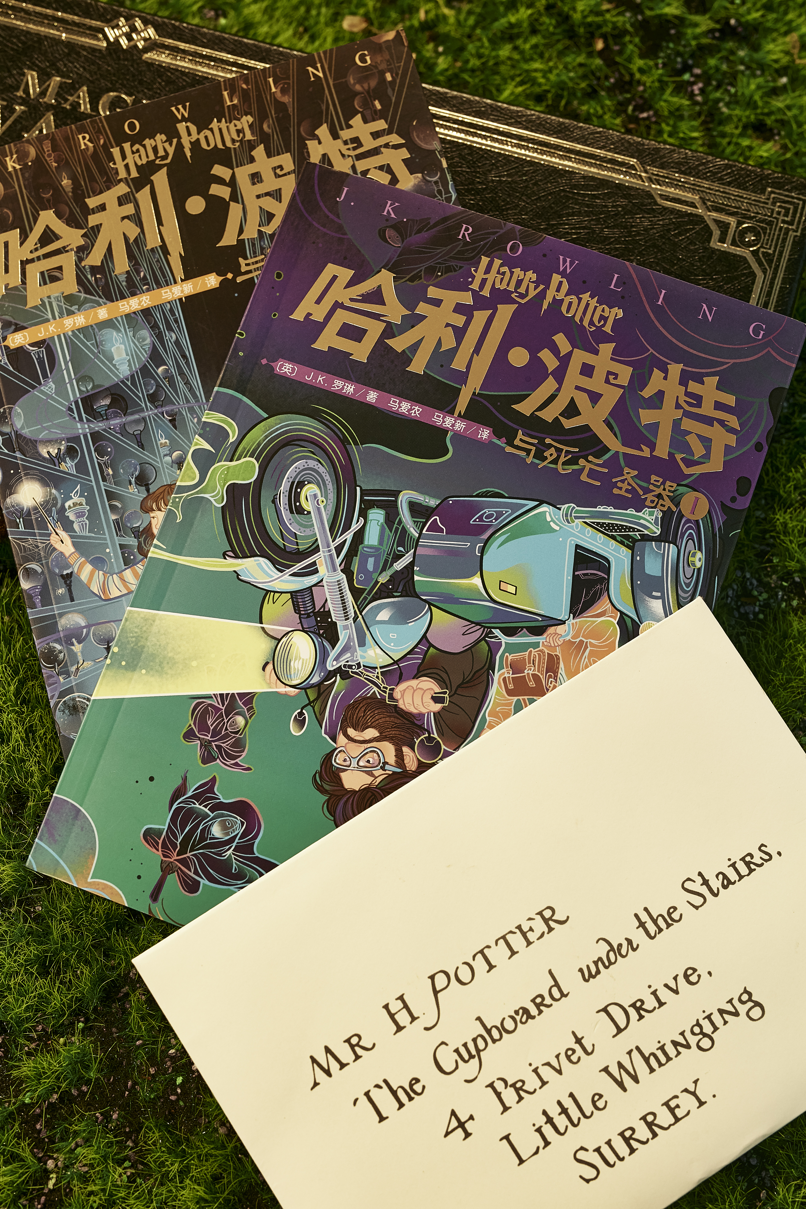 哈利波特二十周年纪念版书,哈利波特100个感悟