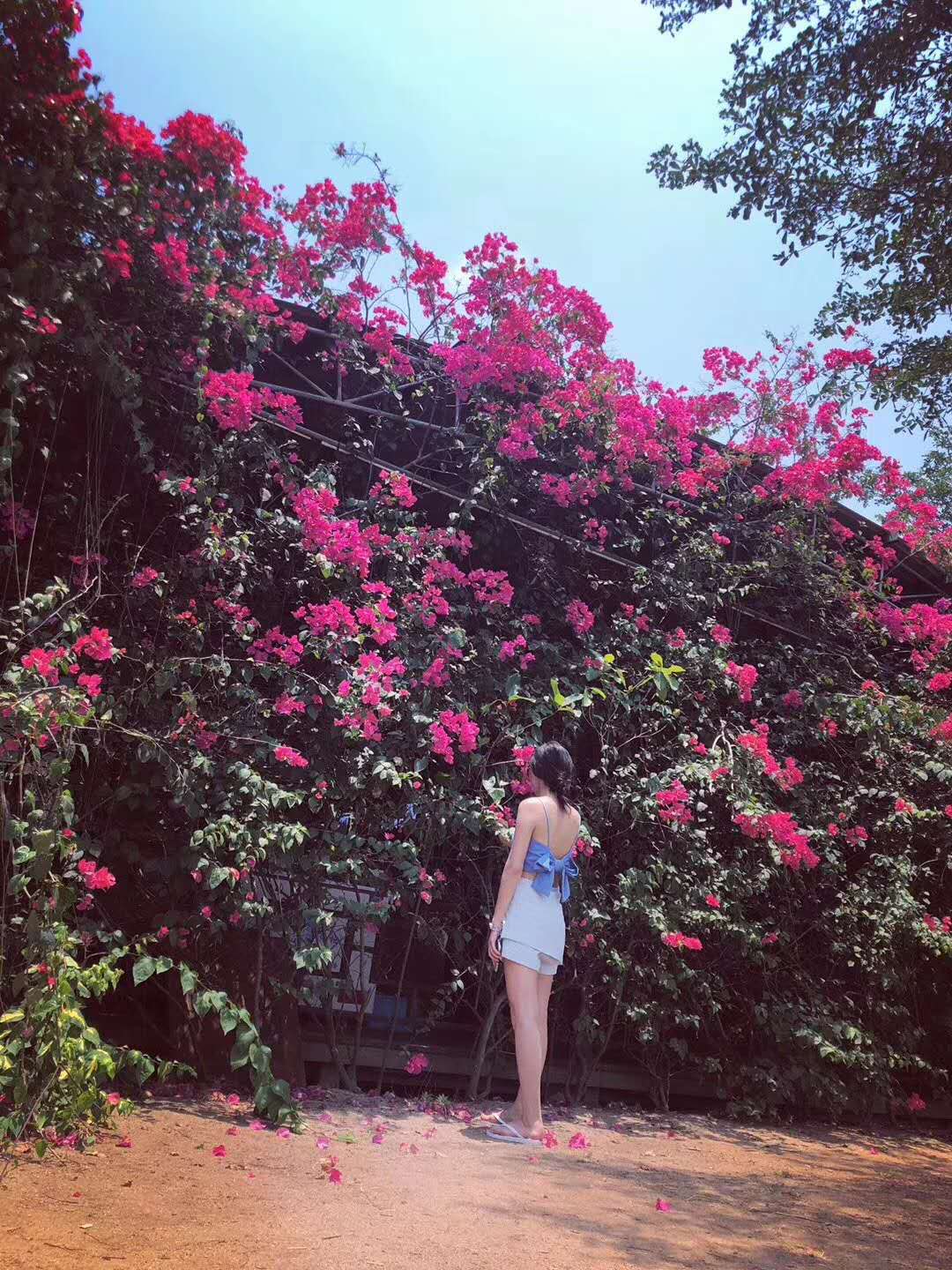 动词搭配不同介词属于什么短语,常用介词与动词组成的短语汇总