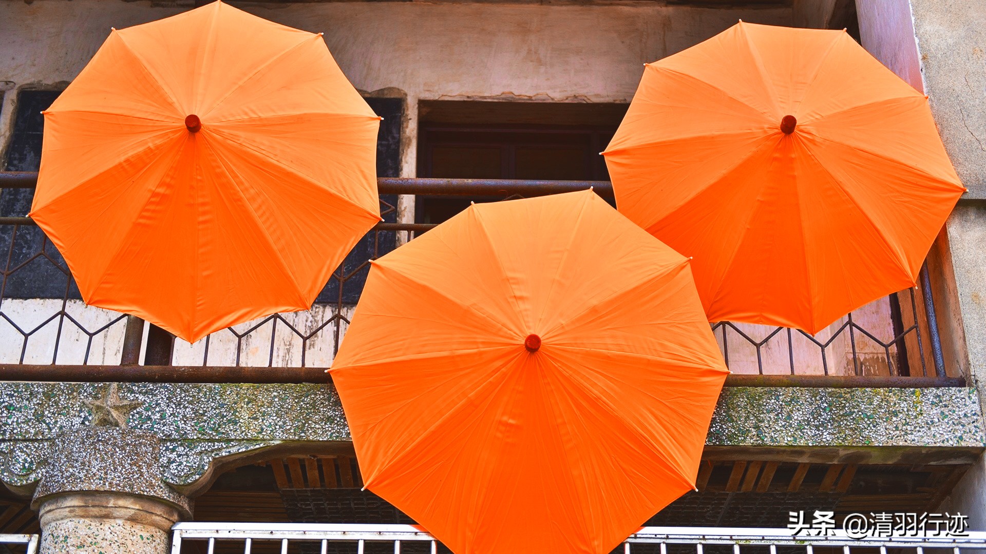 手艺传承之油纸伞,油纸伞工艺传承背后的故事