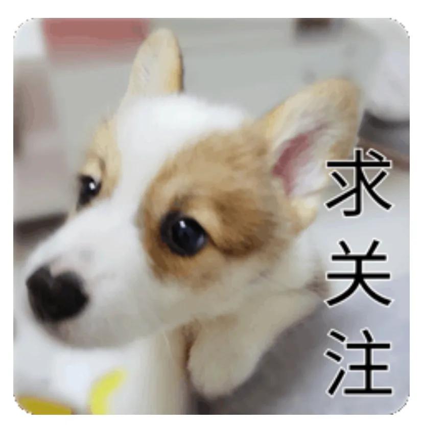 杨幂杨颖刘亦菲金鹰奖女神,杨颖告网友侵权案