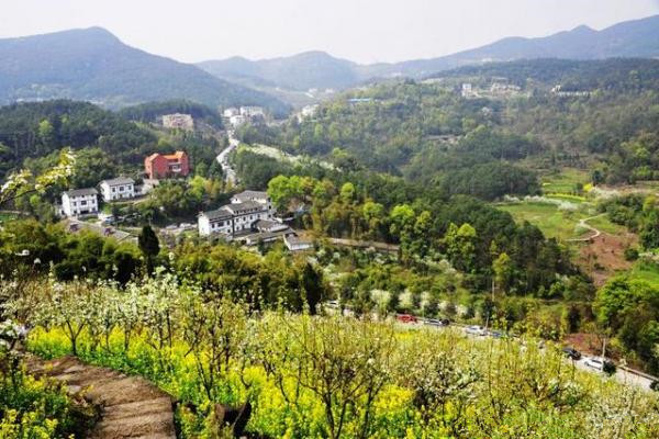 小型聚会民宿,北京延庆区民宿小院团建