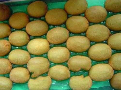 工会情系盛夏活动,情系员工浓浓关怀暖人心