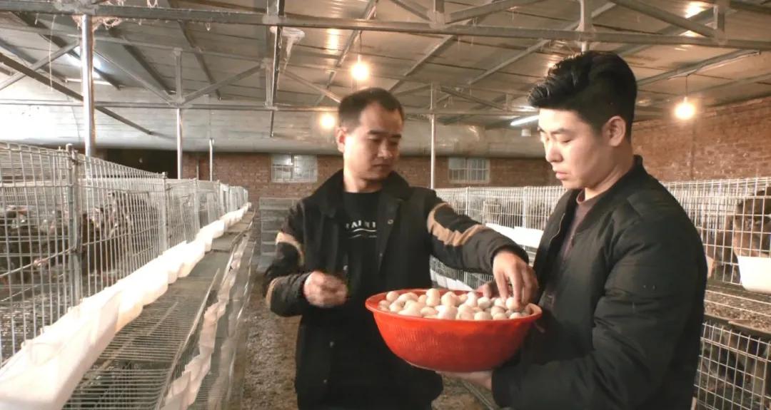 小伙自己创业搞养殖鸡鸭鹅,农村小伙自己创业养殖农场