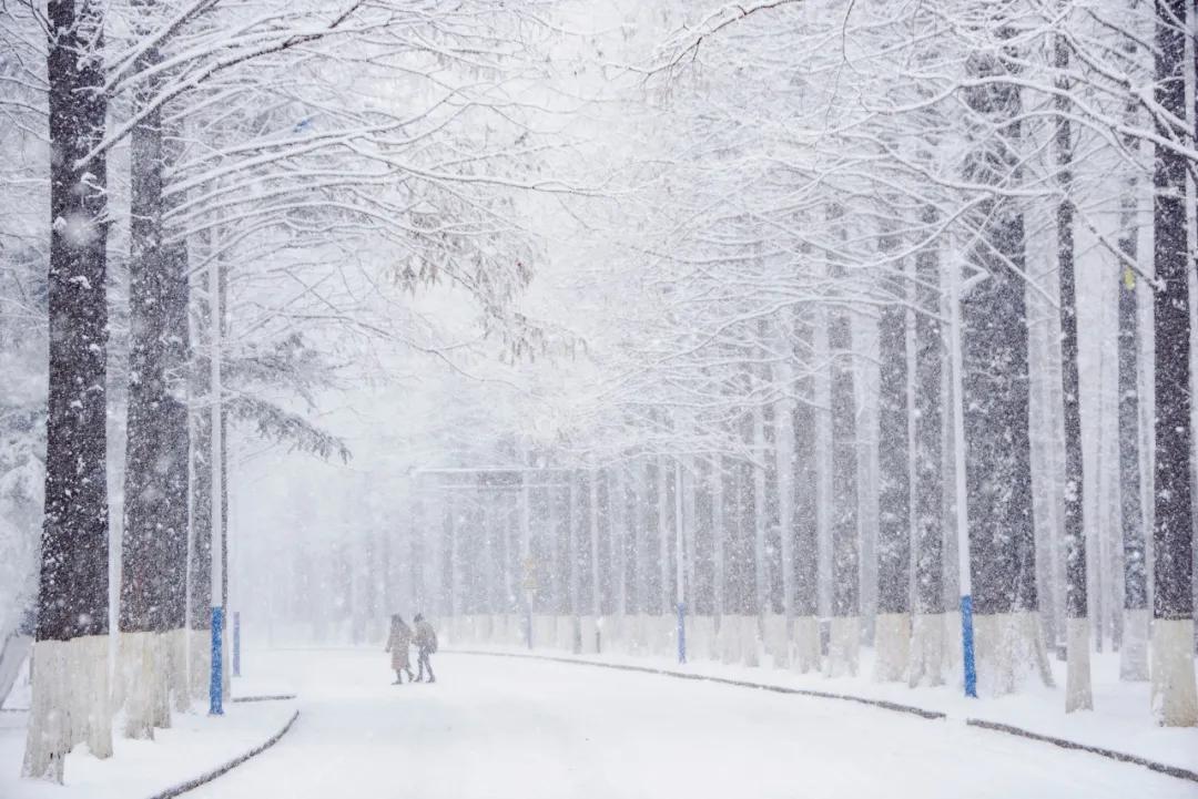 美过三亚！比厦门浪漫！中国这座海滨老城，去一次相当于环游世界