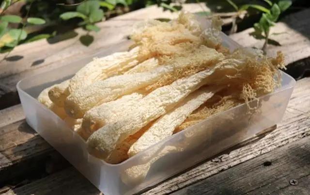 新鲜竹荪菌炖汤最佳做法,竹荪被称为菌中皇后