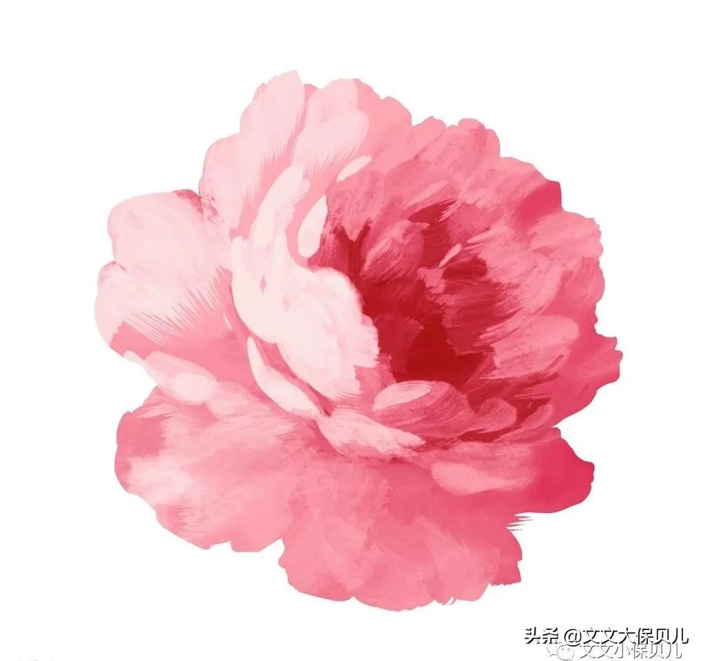 牙齿根管治疗医保会报销吗,牙齿根管治疗可以报保险吗