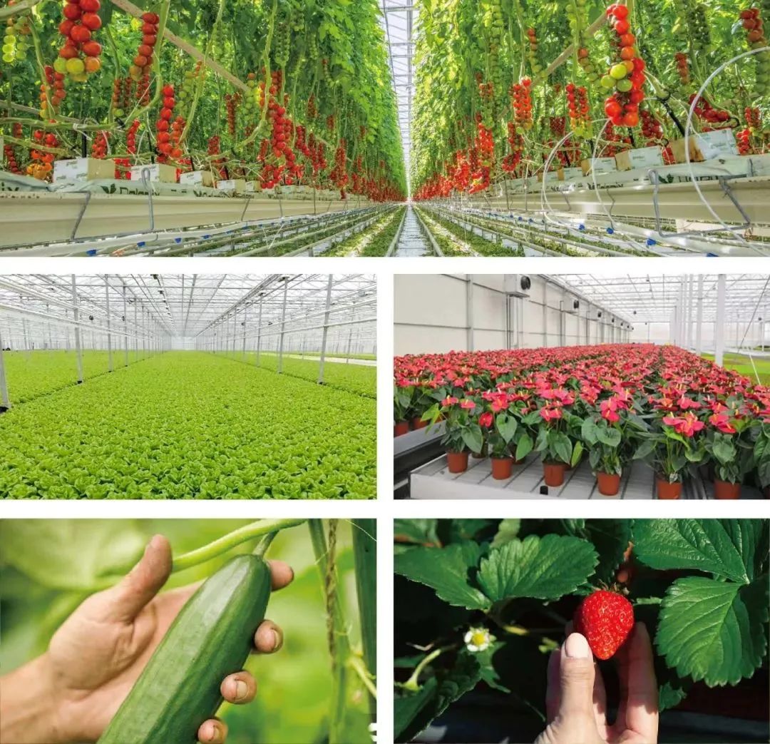 俯瞰珠海全景最佳地点,珠海这个地方好吗