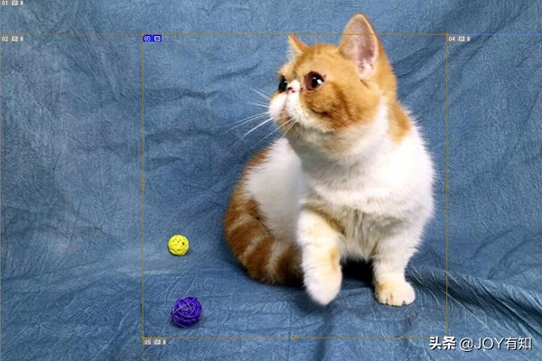 photoshop怎么移动切片,photoshop切片选择工具