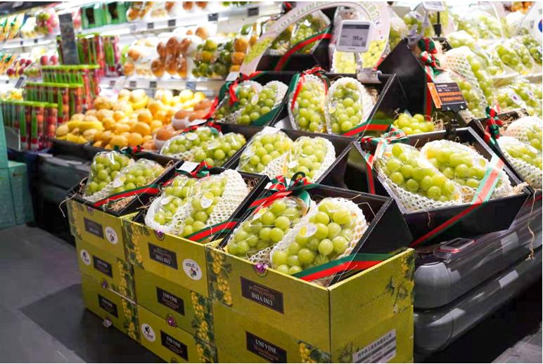 韩国香印青提介绍,寒冬凛冽韩文版