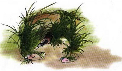 令人印象深刻的小学语文,不同年代的小学课文插图