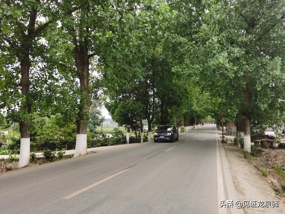 龙泉驿区最新交通消息,龙泉驿交通最新规划