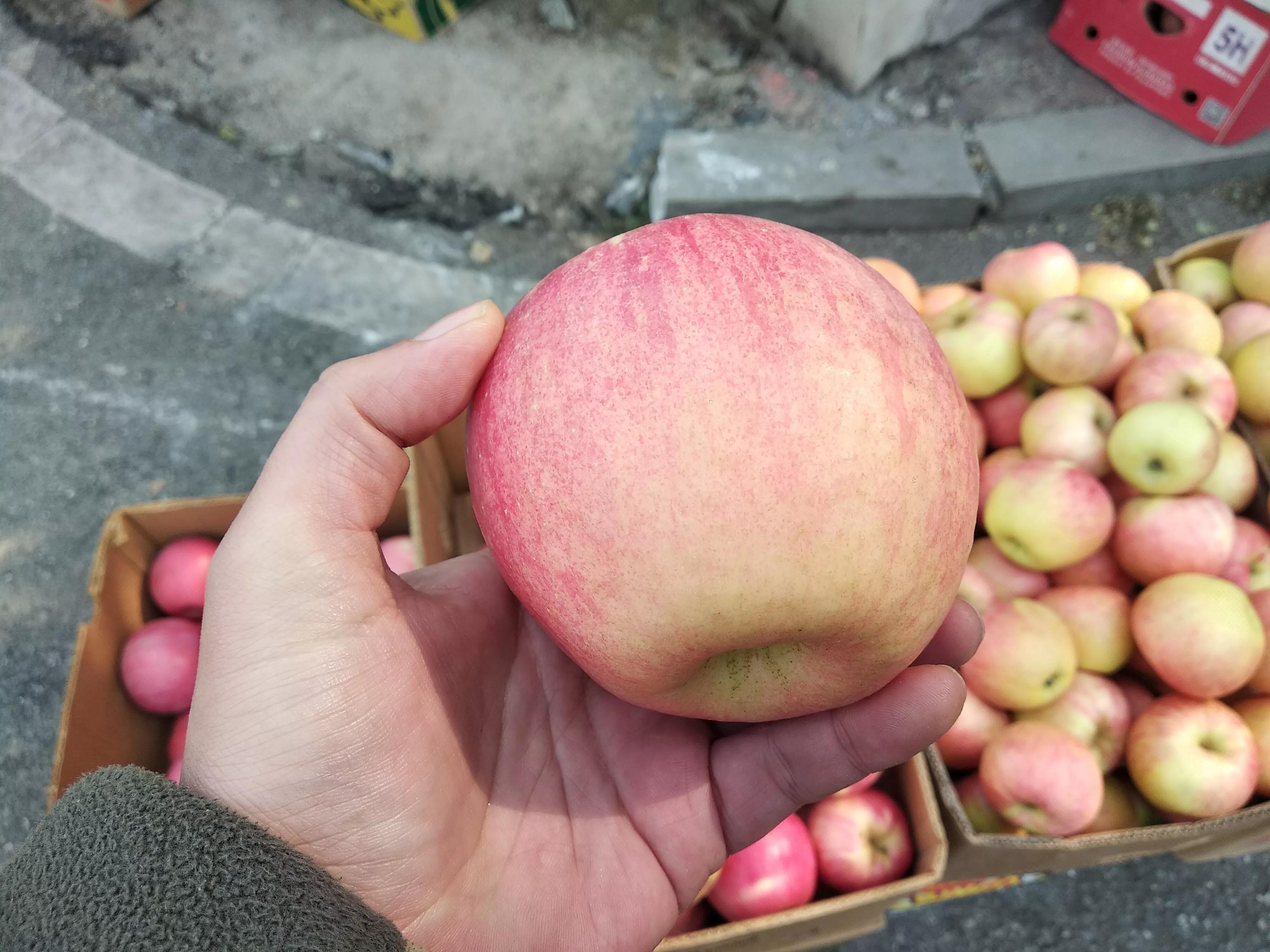 怎样挑选苹果的正确方法,买苹果选啥样的好