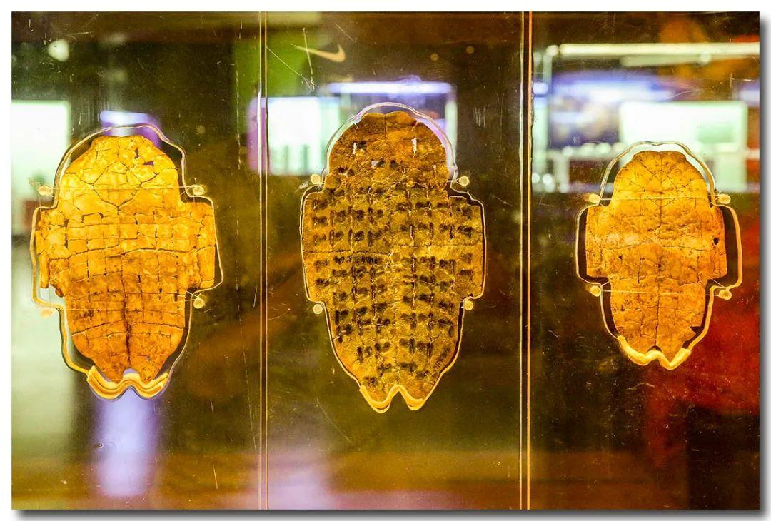 安阳最好的夜市推荐,安阳钟楼夜市一条街