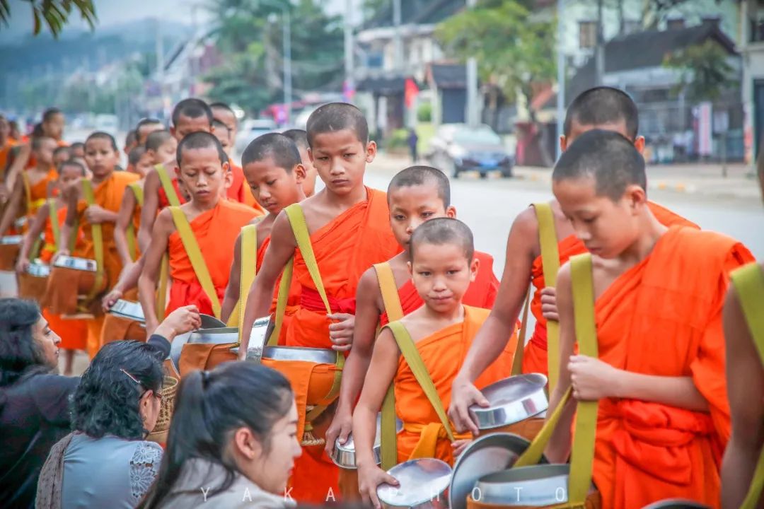 昆明自驾老挝超详细攻略,昆明老挝一日游