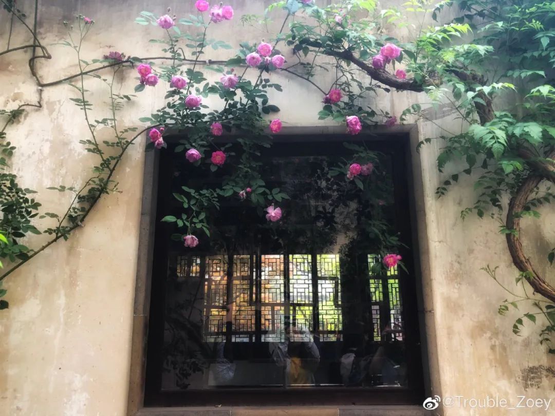 苏州真正的烟雨江南在哪里,江南烟雨苏州古城