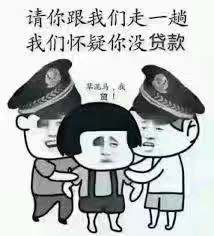 撸网贷真实案例,撸网贷经典案例