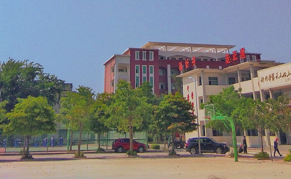 乐东黎族自治县有几个高中学校,海南的乐东县有哪几个高中