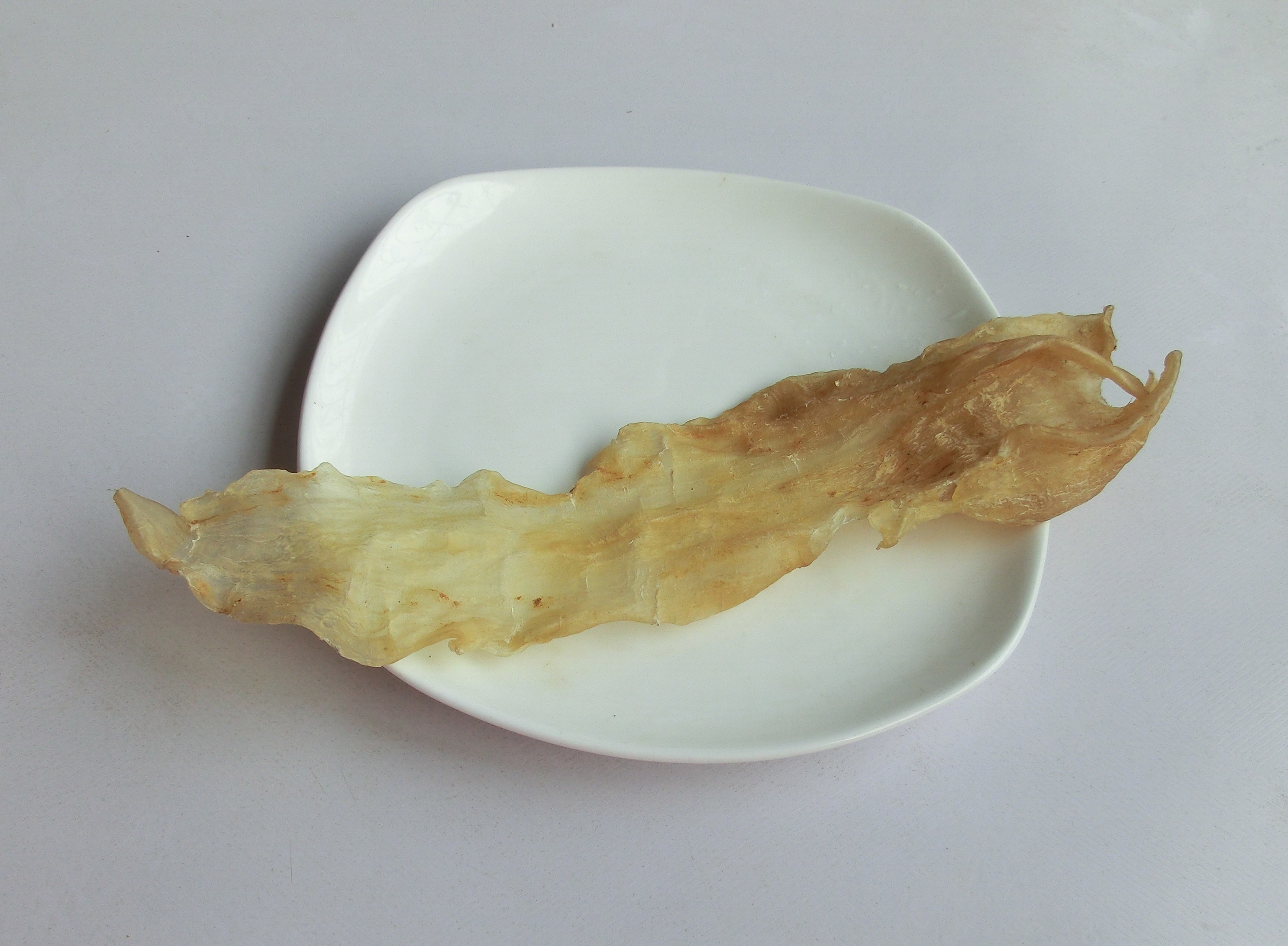 十种花胶的正确泡发方法,花胶的正确泡发方法和技巧