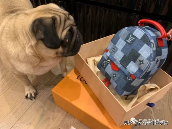 好看又大的宠物包,超好看的宠物包