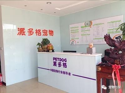 不太正经的宠物店名称有哪些,高端宠物店适合开在什么地方