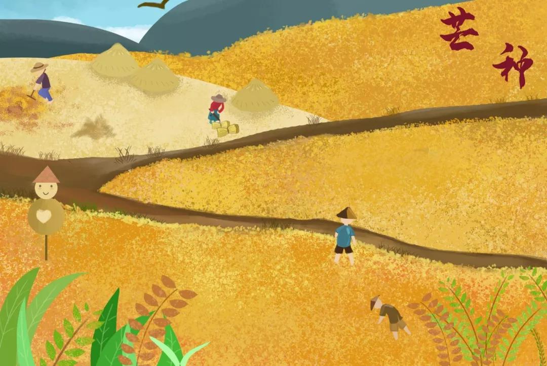 写作积累30首芒种诗词读起来真美,最经典的十首芒种诗词