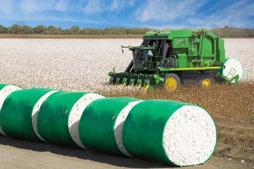 棉田里的边缘战事