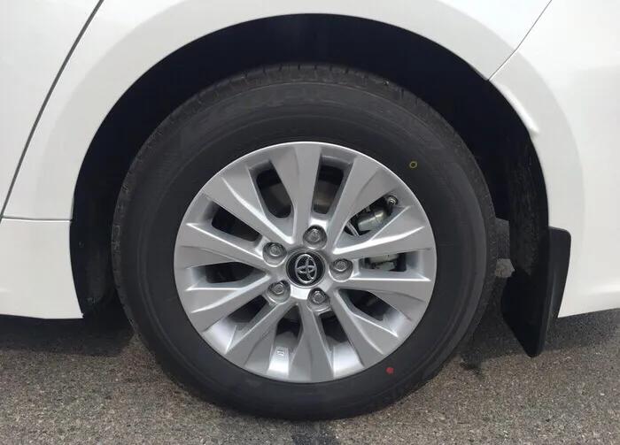 喜欢多姿多彩的生活,多彩多姿的生活作文