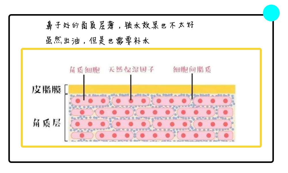 易出油皮肤怎么改善,混干皮t区出油怎么化妆