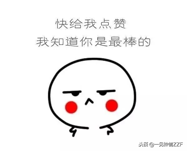 超神奇的电影网站,vr免费电影网站