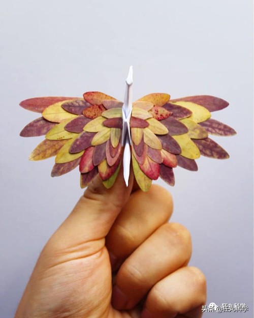 10种纸鹤折法,一天折50个千纸鹤