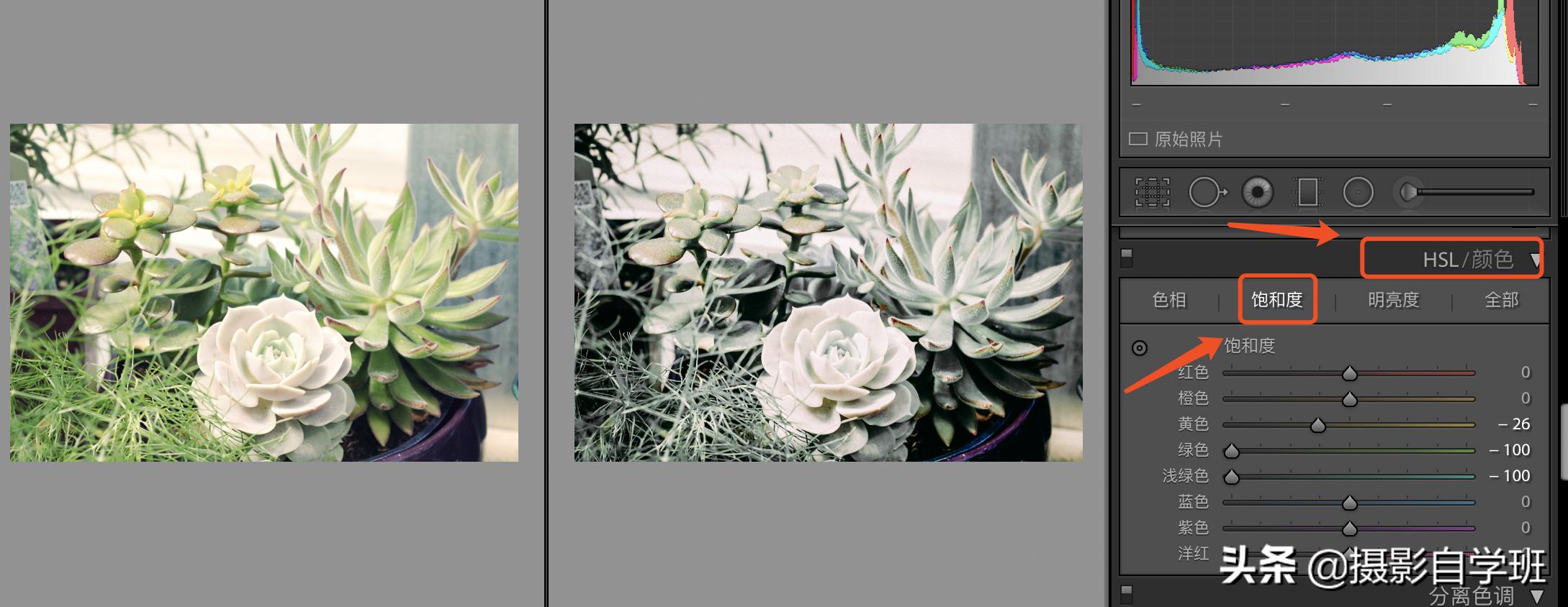 风景照片调色教程lr调色思路,lr修图红色怎么调成青色