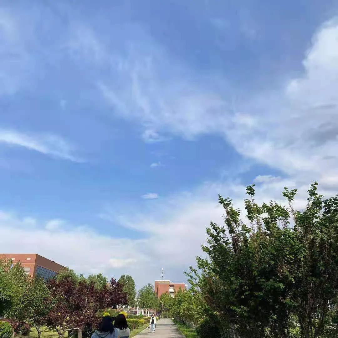 河北政法职业学院欢迎新生,河北政法整顿