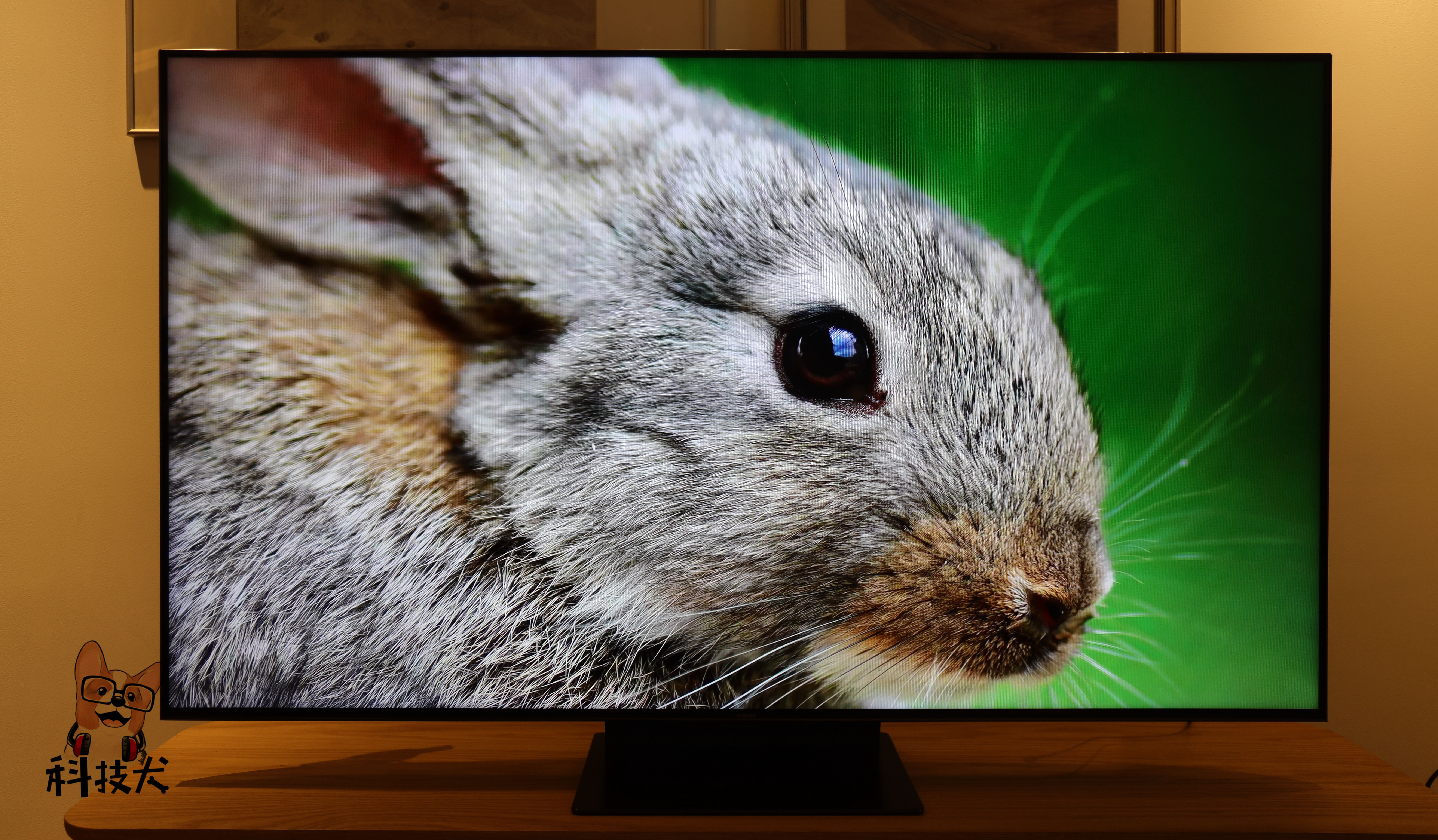 小米电视6至尊55oled评测,小米电视6至尊版75寸真实评测