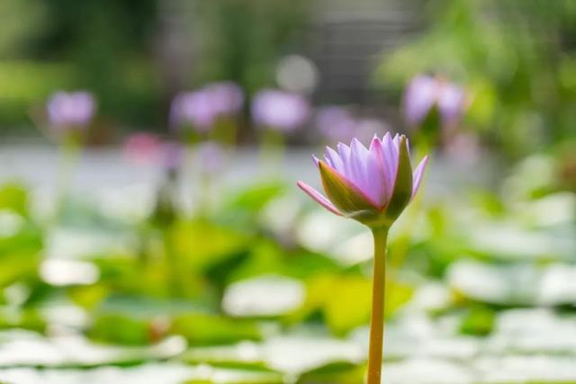 哪些便宜又好用的镜头,什么牌子的镜头最好用
