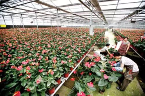 丰台河西80个重点项目,丰台大井即将启动的项目