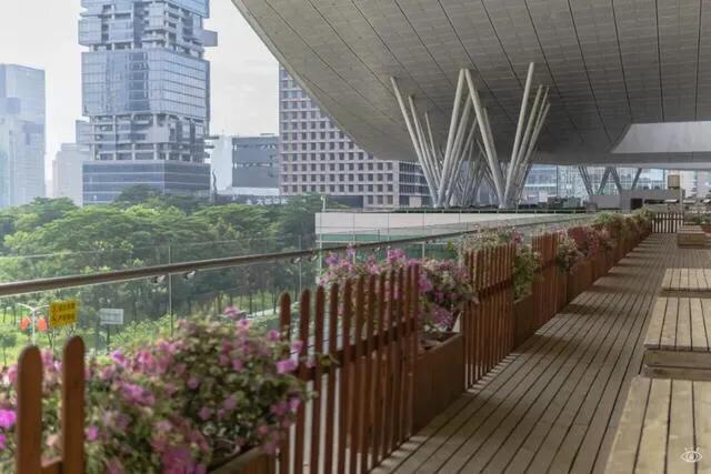 深圳暑假推荐地方,深圳适合高中生参观的地方