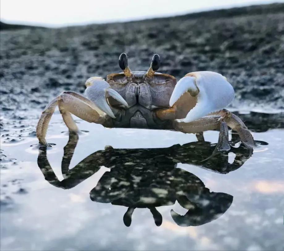 福建马尔代夫岛,被称为福建的马尔代夫