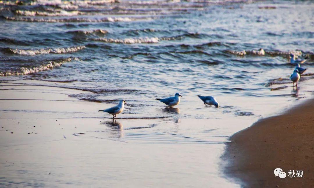 北戴河房车自驾游攻略,南戴河房车自驾游