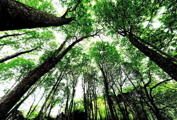 安徽马仁奇峰风景区游玩路线,安徽繁昌马仁奇峰旅游攻略