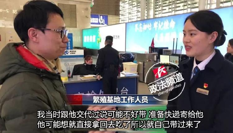 男子带鸟进站被拒后续,男子带鸟进站闯安检