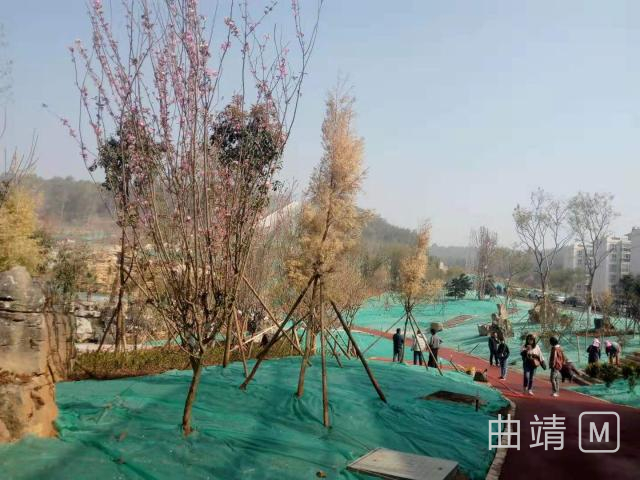 沾益玉林山公园,曲靖沾益玉林山公园