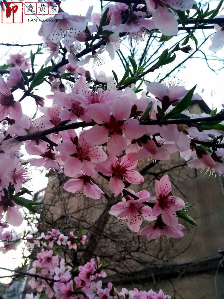 三月，畅攀武汉蔡店鹰嘴石